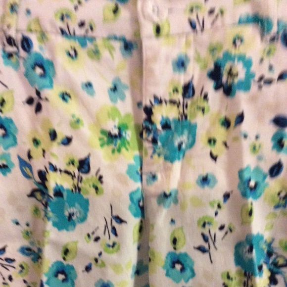 Capris - Picture 2 of 4